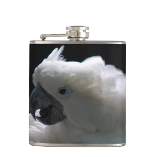 Cantil Cockatoo