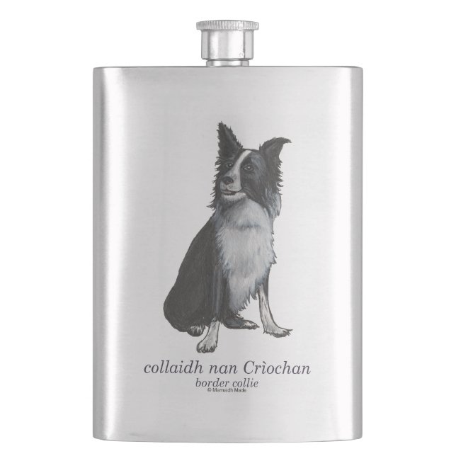 Cantil collie de fronteira - collaidh nan Crìochan (Frente)