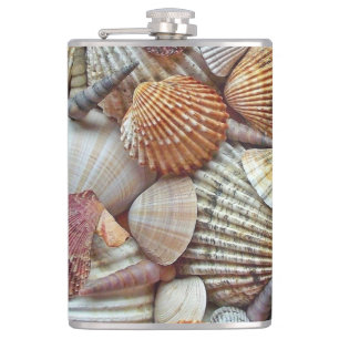 Cantil Conchas marítimas