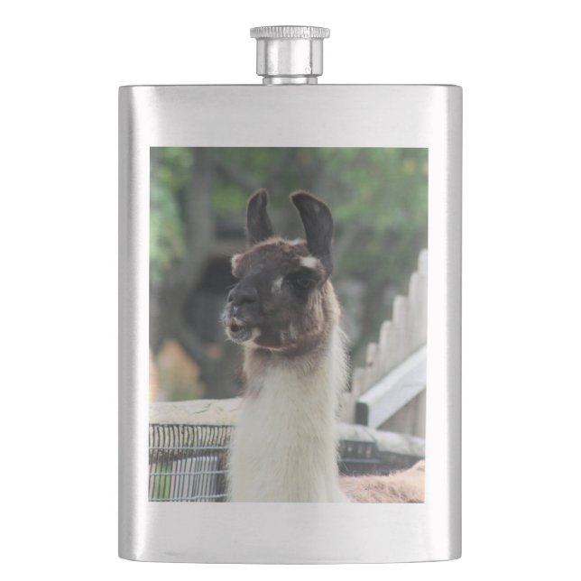 Cantil Cuidado com a lhama! (Frente)