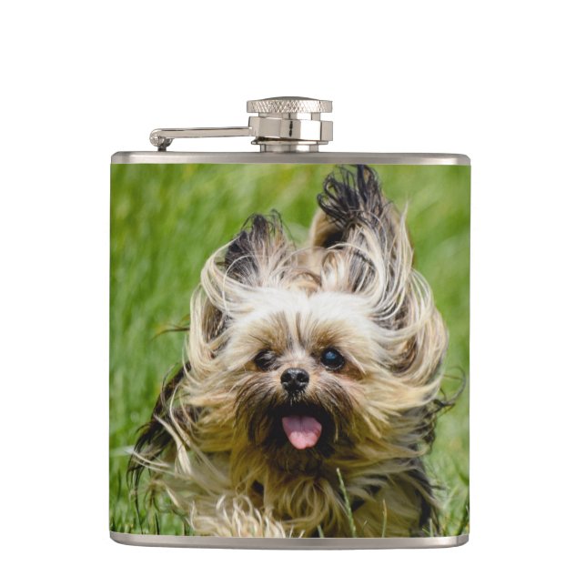 Cantil Cute Yorkshire Terrier Running Through Grass (Frente)