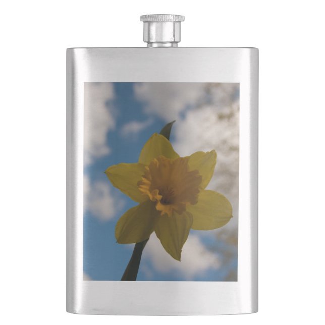 Cantil Daffodil na primavera (Frente)