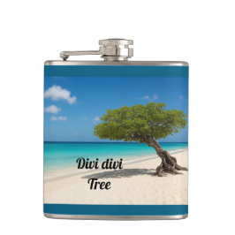 Cantil Divi divi tree