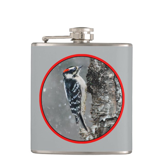 Cantil Downy Woodpecker em Neve - Foto Original (Frente)