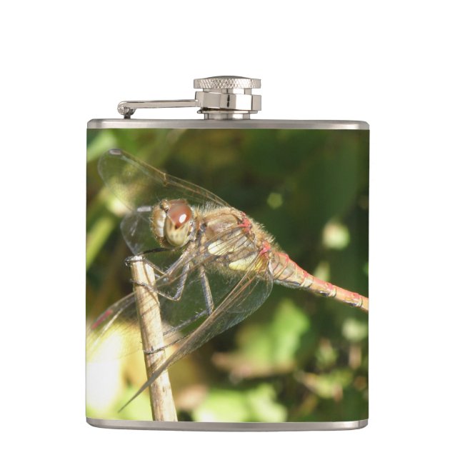 Cantil Dragonfly em um Twig Flask (Frente)