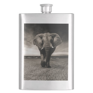 Cantil Elefante na Corrida