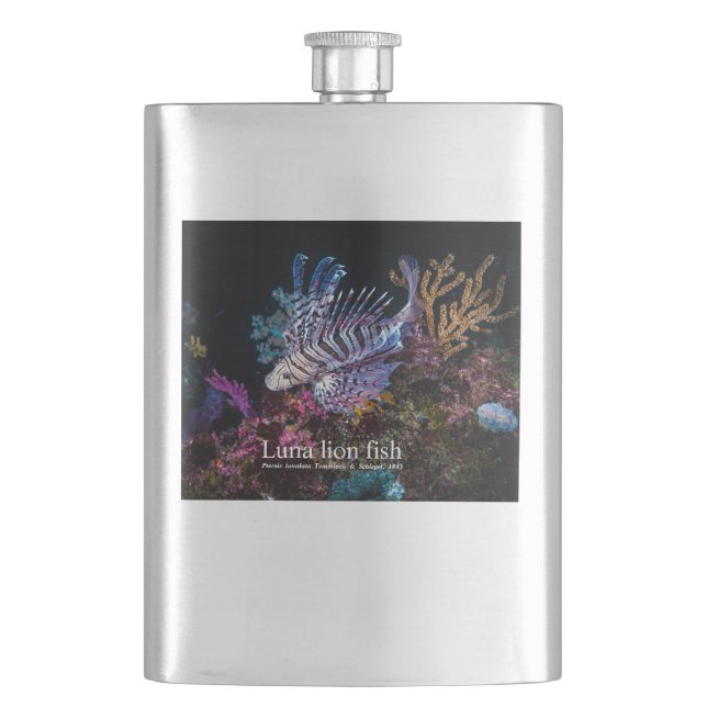 Cantil Elegante Lionfish (Frente)