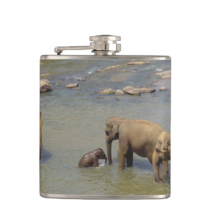 Cantil elephant-84.jpg