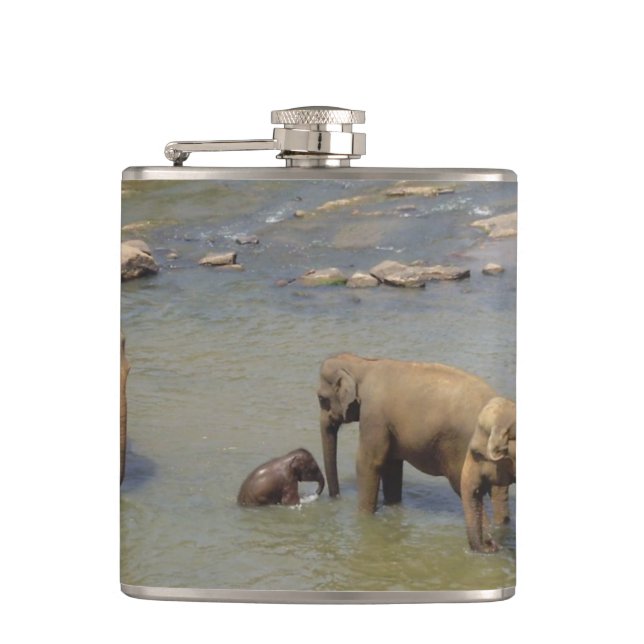Cantil elephant-84.jpg (Frente)