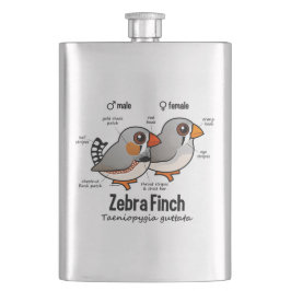 Cantil Estatísticas do passarinho de zebra