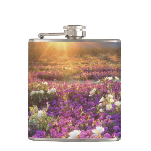 Cantil EUA, Califórnia, Anza-Borrego Desert State Park.2