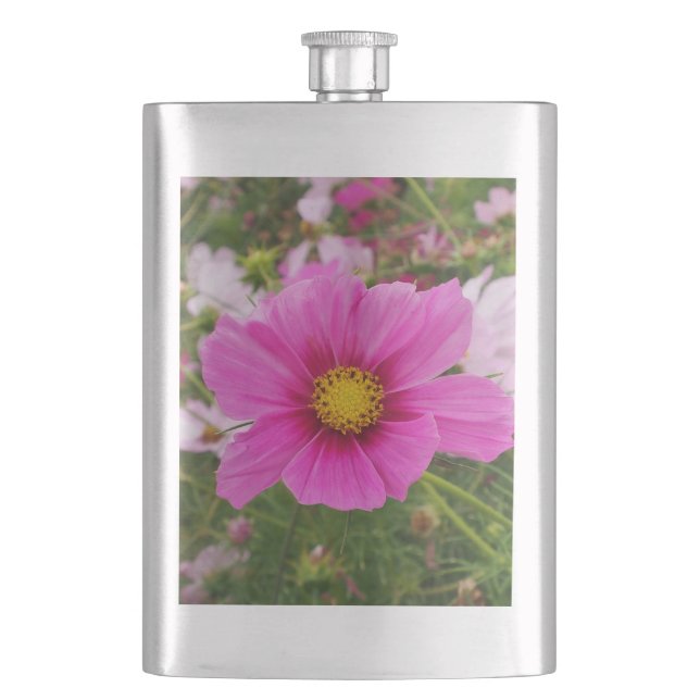 Cantil Flor de Cosmos Rosa bonito (Frente)