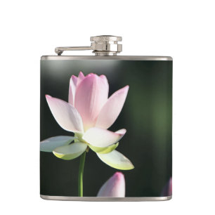 Cantil Flor de Lotus Branco e Rosa
