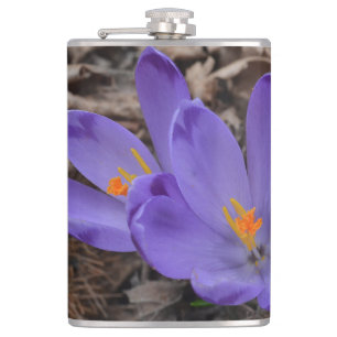 Cantil Floração em Púrpura Crocus