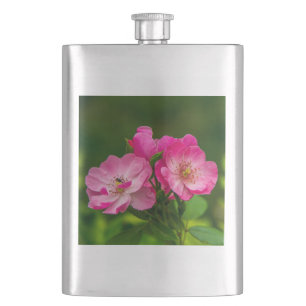 Cantil Flores de Rosa Selvagem Rosa Fotografia Design-526
