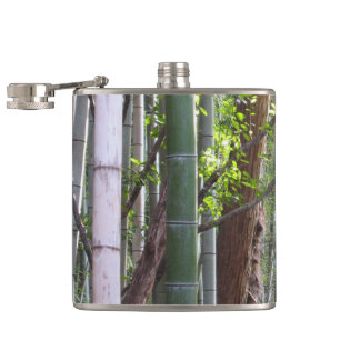 Cantil Floresta gigante japonesa de bambu, Sagano, Kyoto,