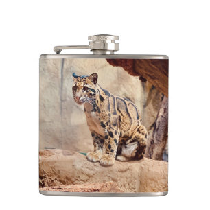 Cantil foto-leopardo nublada natureza vida selvagem exóti
