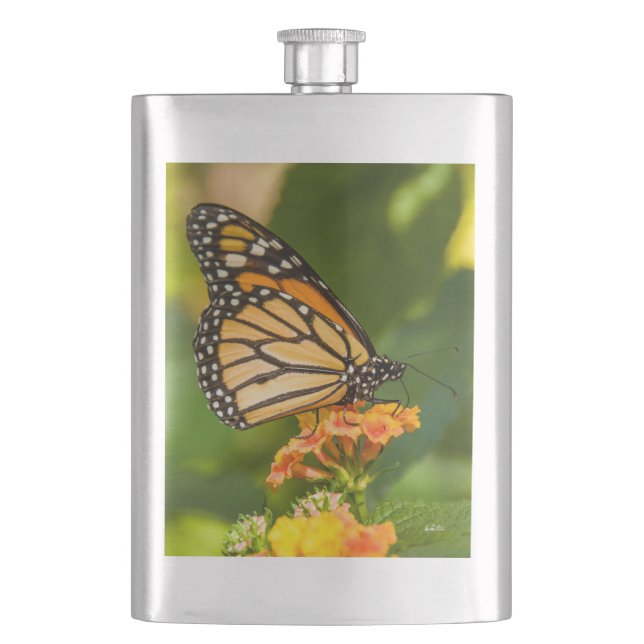 Cantil fotografia de uma borboleta sobre uma flor (Frente)