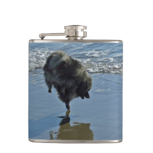Cantil Fotografia do Balé Keeshond - Arte de Cachorro Ori