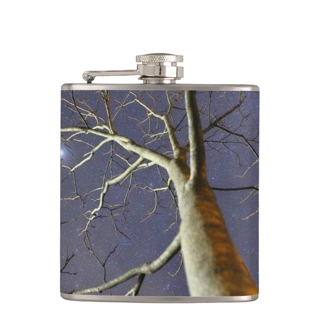 Cantil Frasco_Árvore_Estelar (Frente)