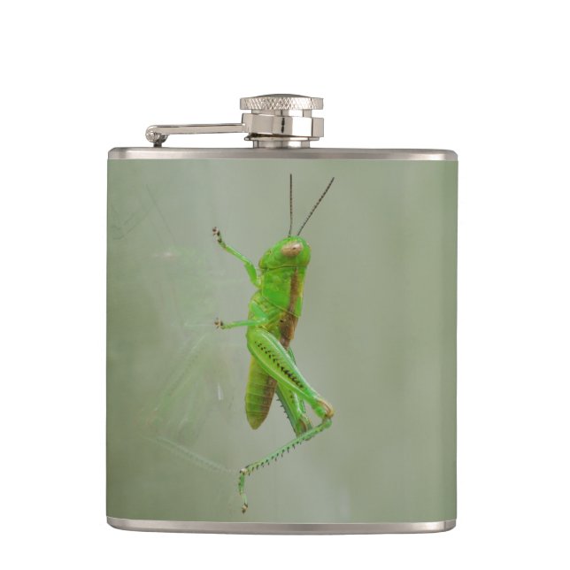 Cantil Gafanhoto verde (Frente)