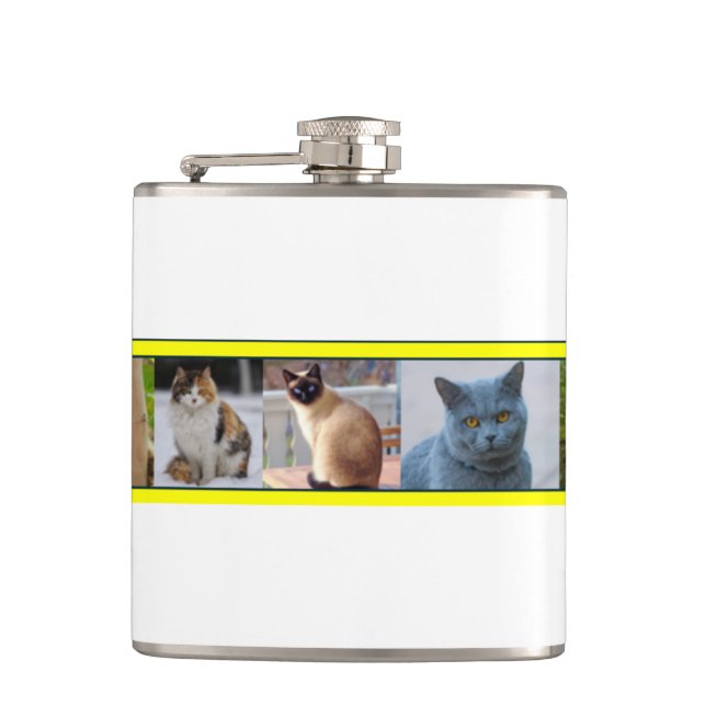 Cantil Gatinhos em todos os lugares (Frente)
