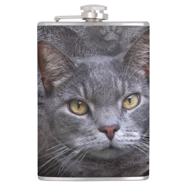 Cantil Gato de cinza (Frente)