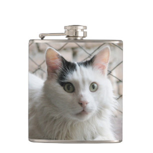 Cantil gato van turco