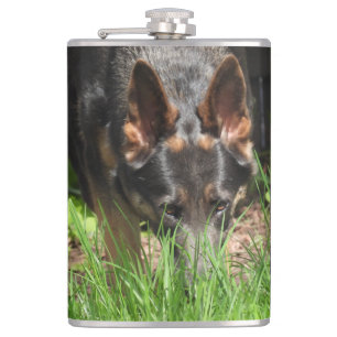 Cantil german shepherd Stare Woodchuck Scare