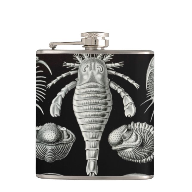 Cantil Haeckel Aspidonia (Frente)