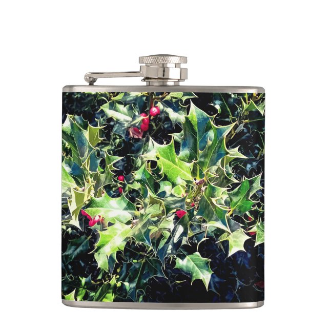 Cantil Holly, com bagas vermelhas (Frente)