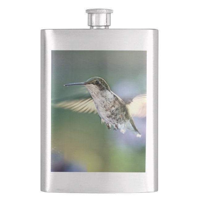 Cantil Hummingbird Voando (Frente)