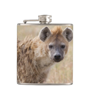 Cantil Hyena