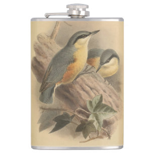 Cantil Ilustração Vintage de Nuthatch