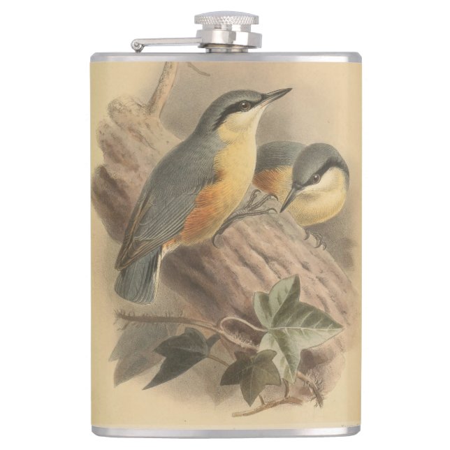 Cantil Ilustração Vintage de Nuthatch (Frente)