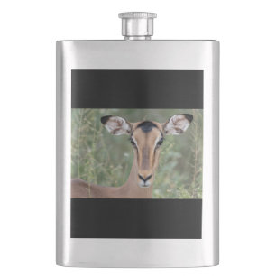 Cantil Impala Portrait