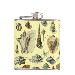 Cantil Impressão de Conchas Vintage Adolphe Millot Costei