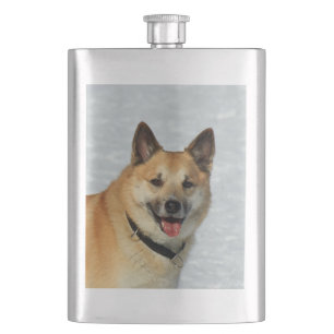 Cantil IslandêsSheepdog20150904