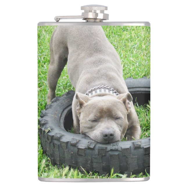 Cantil Jovem Homem Staffy Adora Brincar, (Frente)