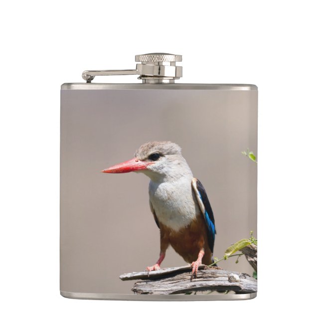 Cantil Kingfisher Cinza (Frente)