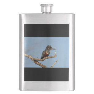 Cantil Kingfisher gigante