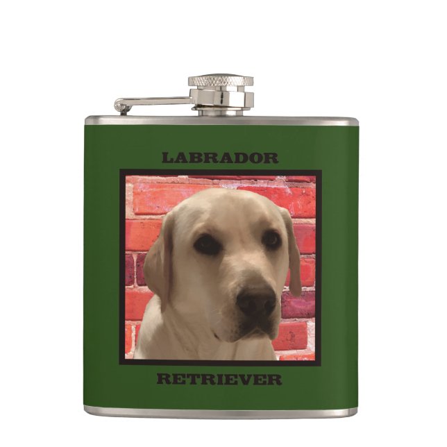 Cantil Labrador de Labrador Amarelo bonito (Frente)