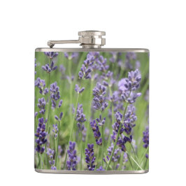 Cantil Lavender