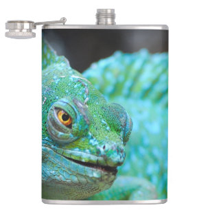 Cantil Lizard