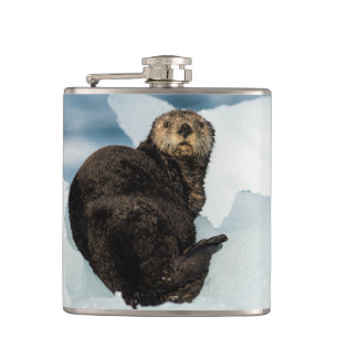 Cantil Lontra do mar em repouso