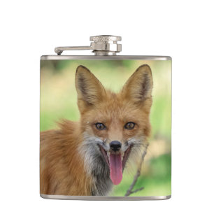 Cantil Mama Fox no Vale do Hudson