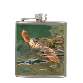 Cantil Mãos Para Cima Para Uma Tartaruga Limpa No Oceano