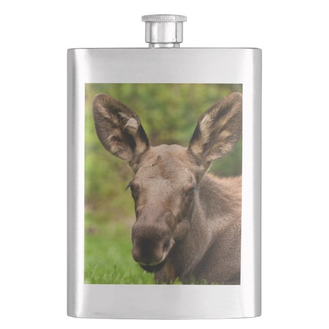 Cantil Moose Curiosa (Frente)