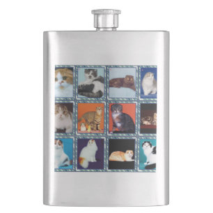 Cantil mural de scottish fold