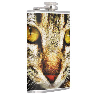 Cantil O olhar expressivo de um gato doméstico